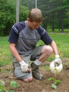 Watering the Squash Plants