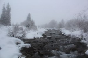 A Rippling Brook